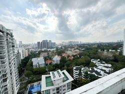 Studio 3 (D10), Apartment #462139611